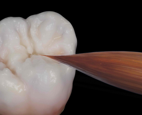 feinster-Pinsel-fuer-morphologie